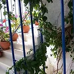 Apartman Gianna