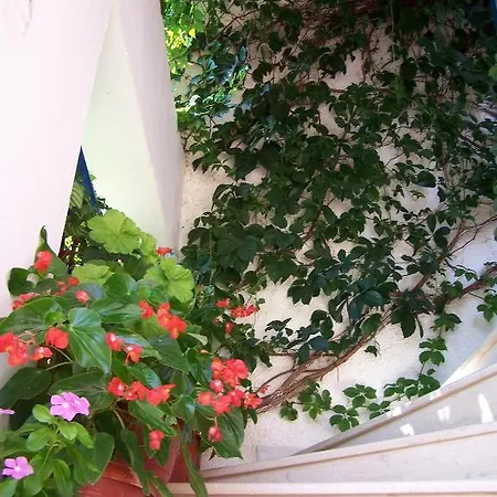 Apartment Gianna